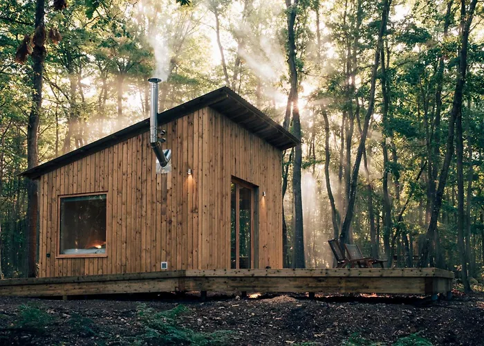 Youza Dans Les Arbres * La Couture-Boussey